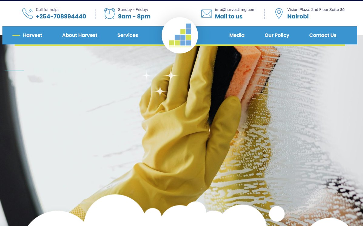Website Design